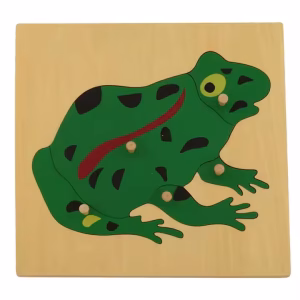 Živalska sestavljanka: Žaba